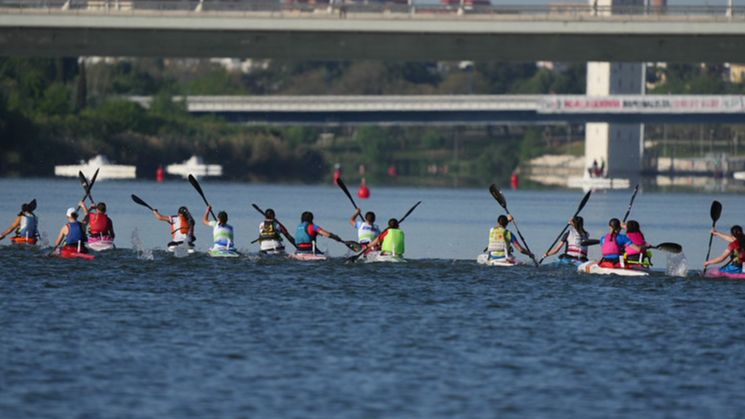 Jóvenes promesas del piragüismo extremeño durante una regata en el Guadalquivir