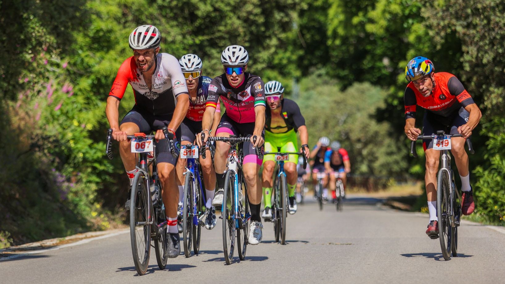 Ciclistas durante la Ruta Cicloturista Jamón de Monesterio