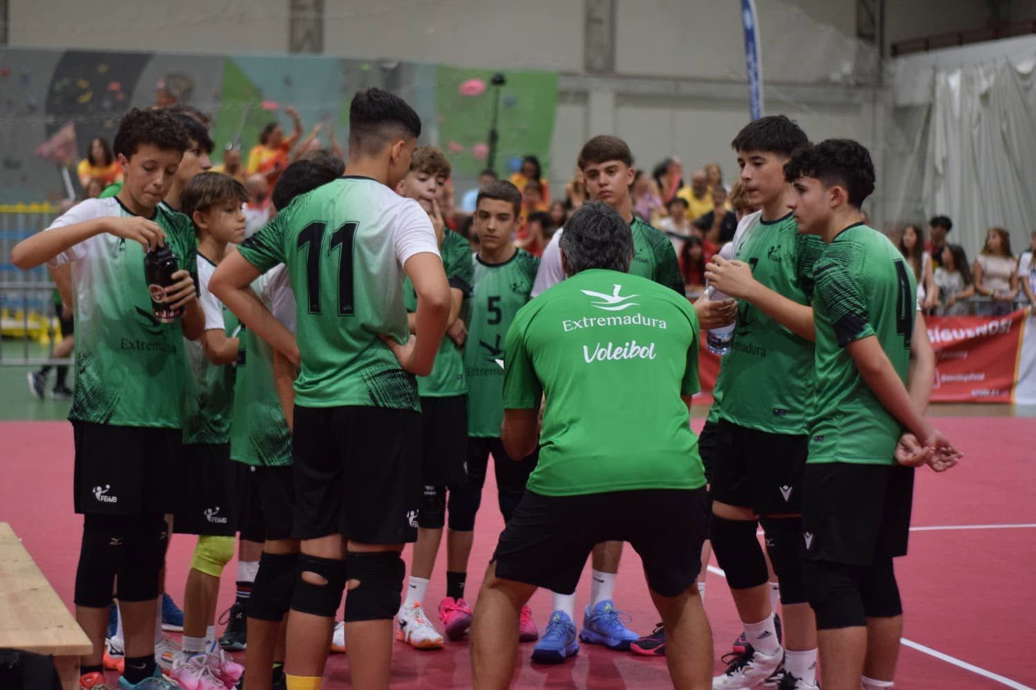 Imagen 3