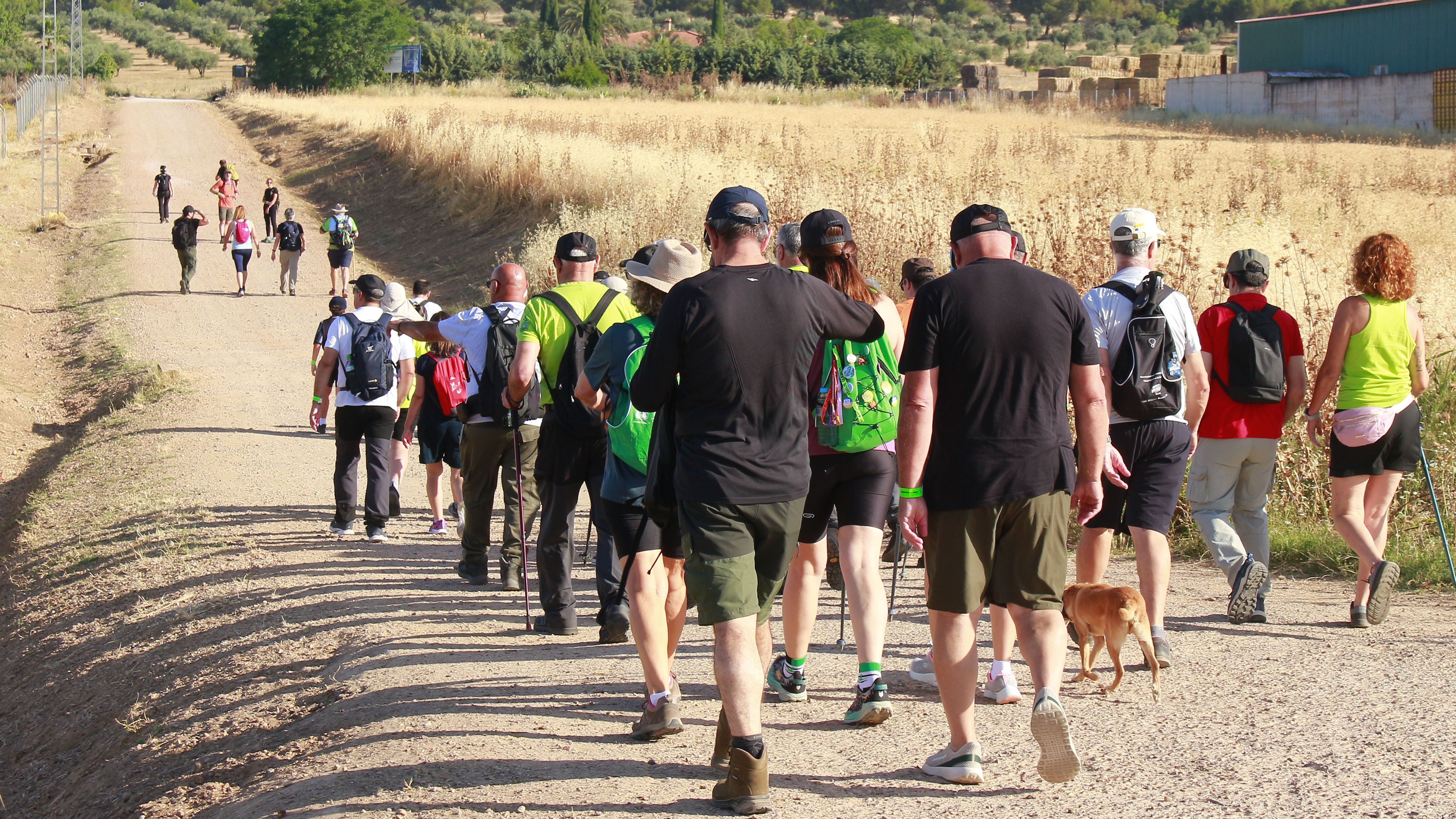 Senderistas durante una de las rutas organizadas por el Grupo Senderista Vegas Bajas