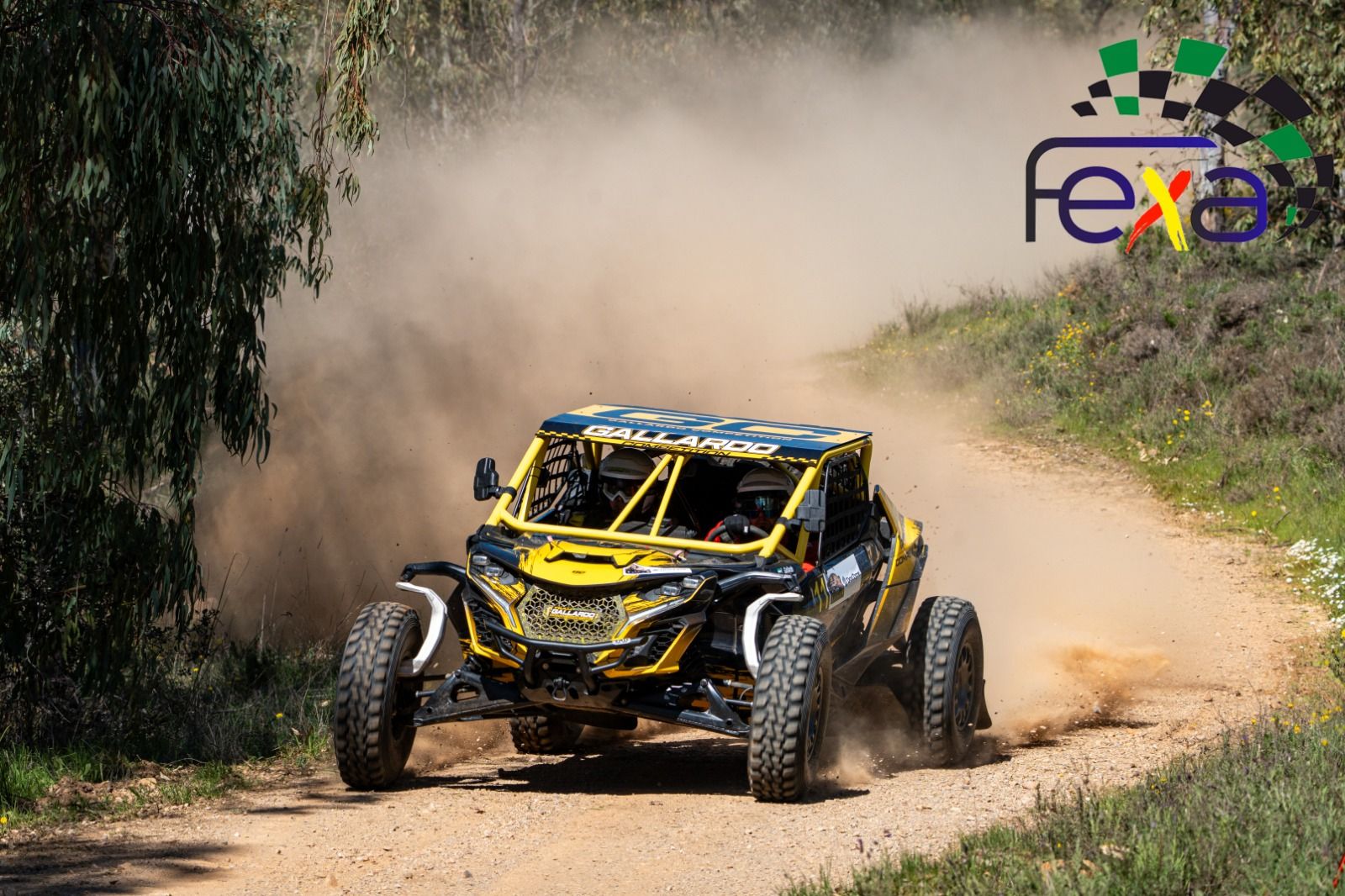 Coches de rally sobre tierra en el II TC Dehesa Suroeste de Zafra