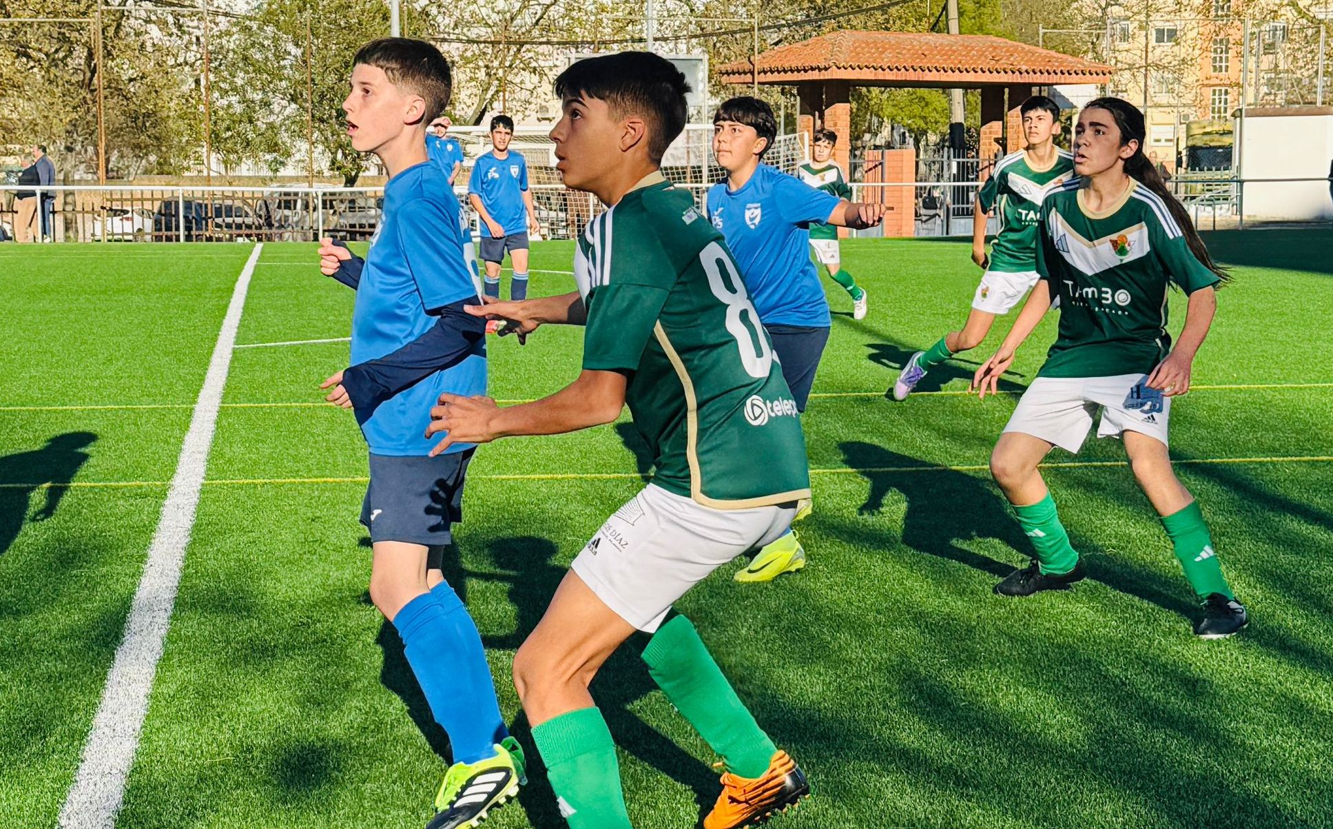 Partido entre Pebetero Olímpico B y Cacereño E en categoría infantil Judex