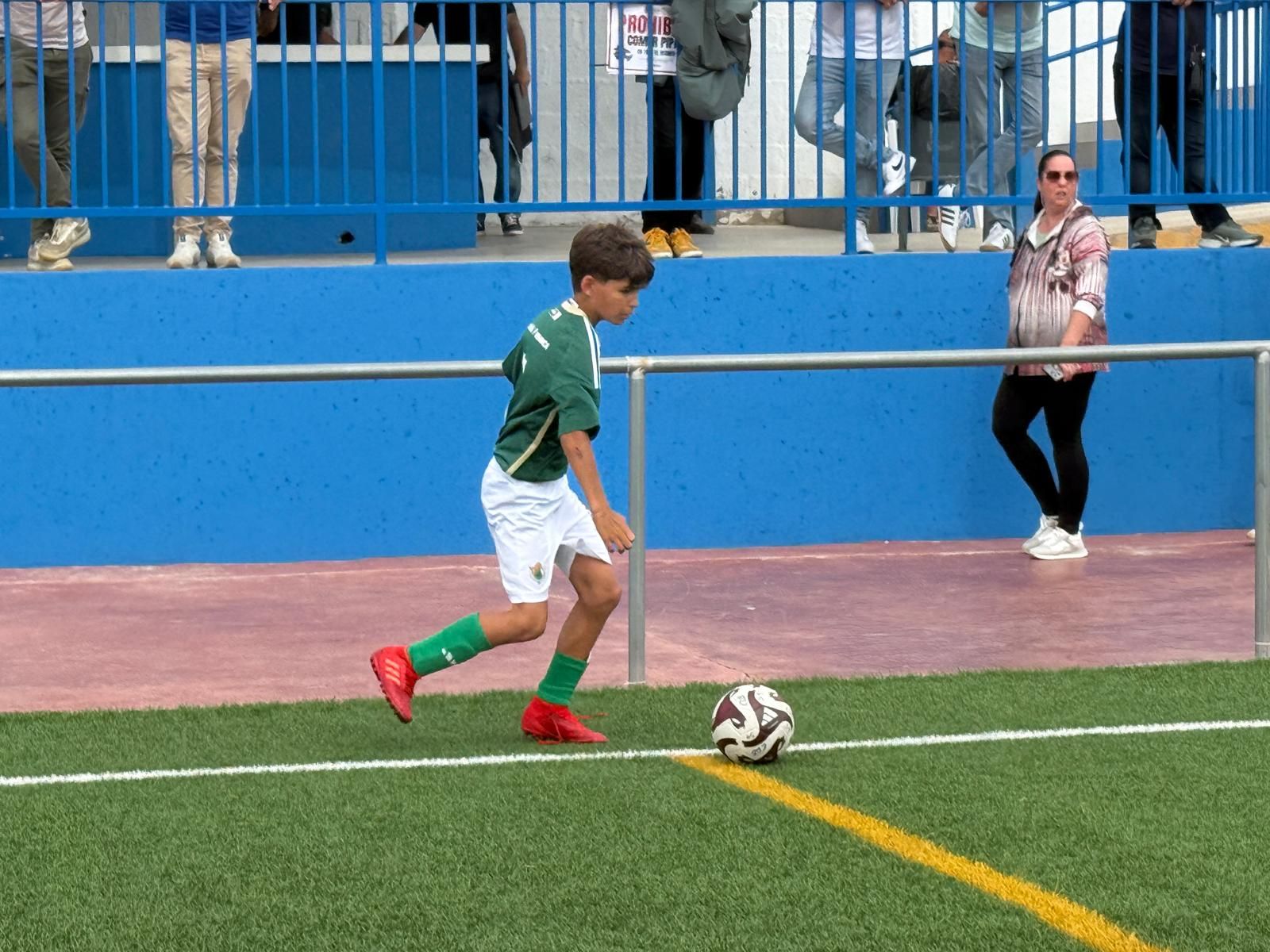 Imagen 8