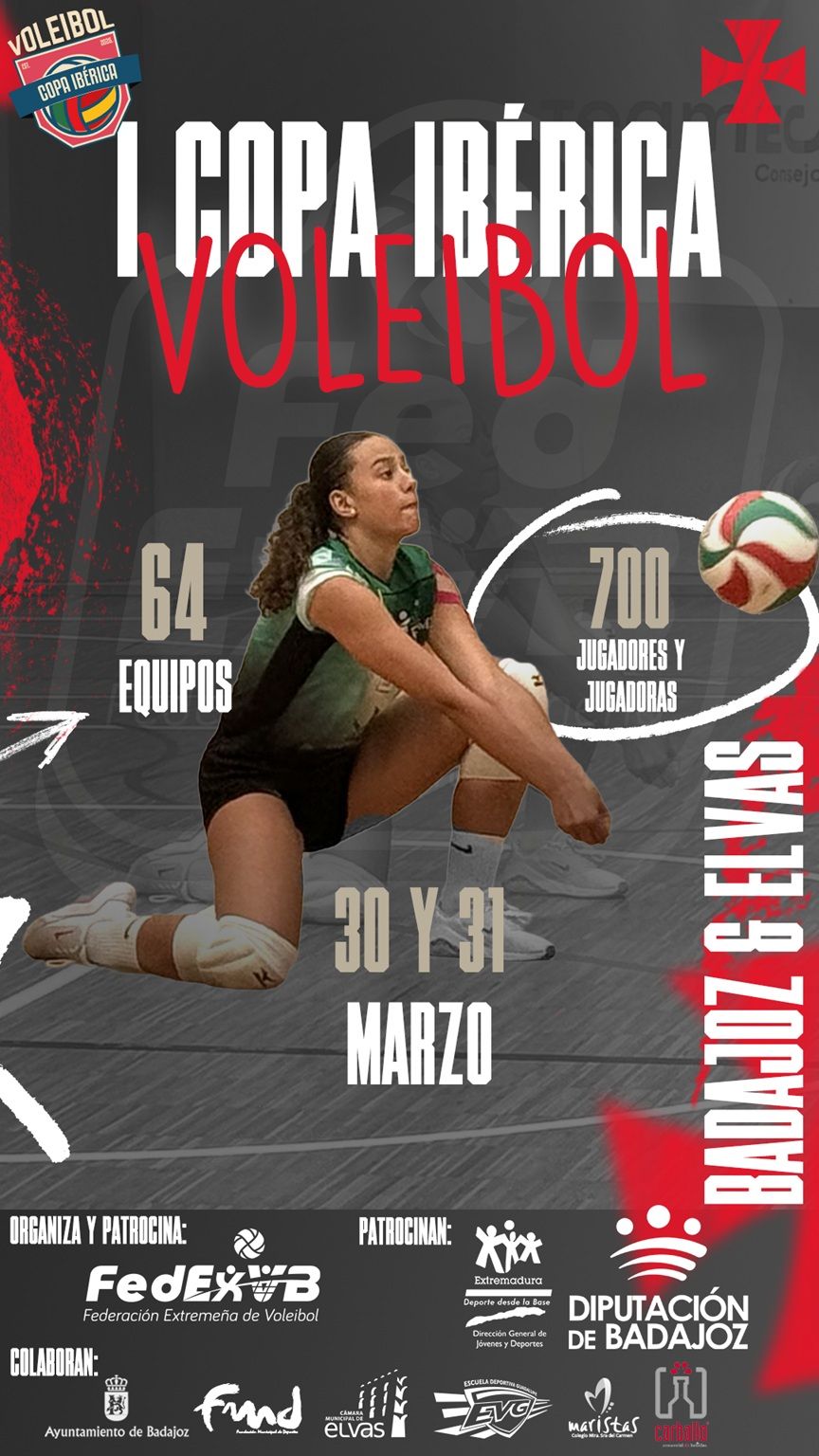 cartelvoley.jpg