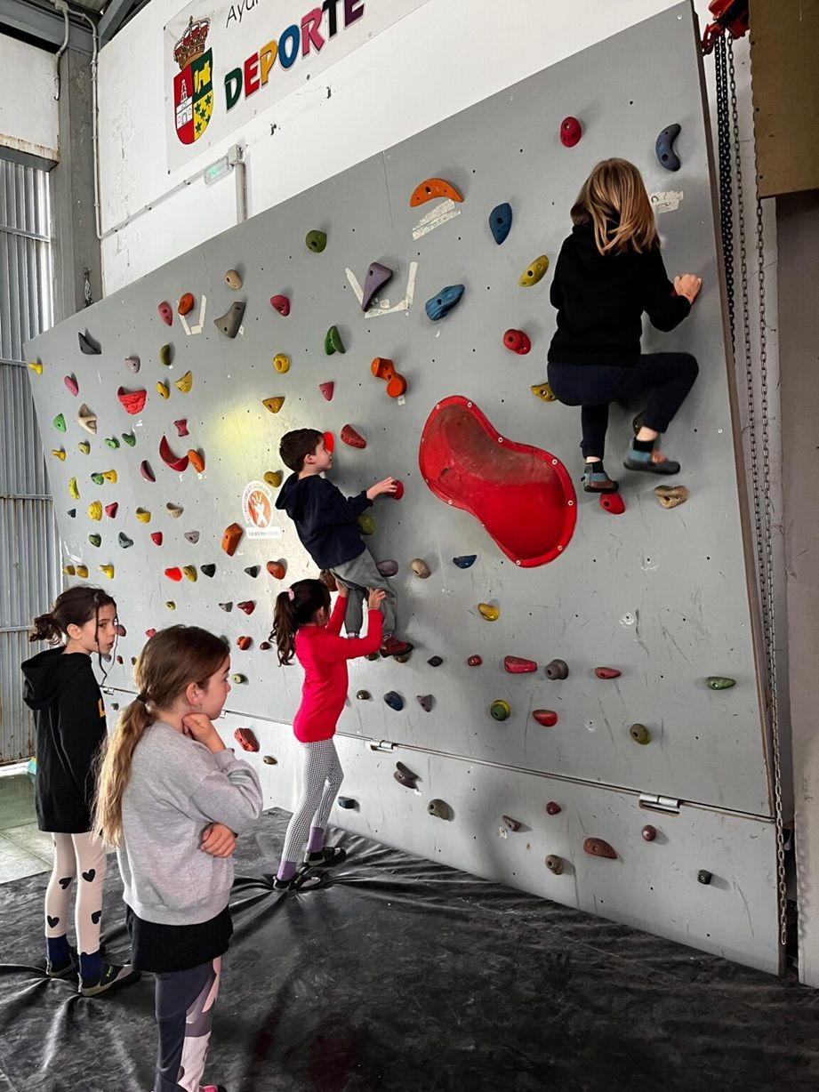 Jóvenes escaladores compitiendo en el rocódromo durante los Judex 2026