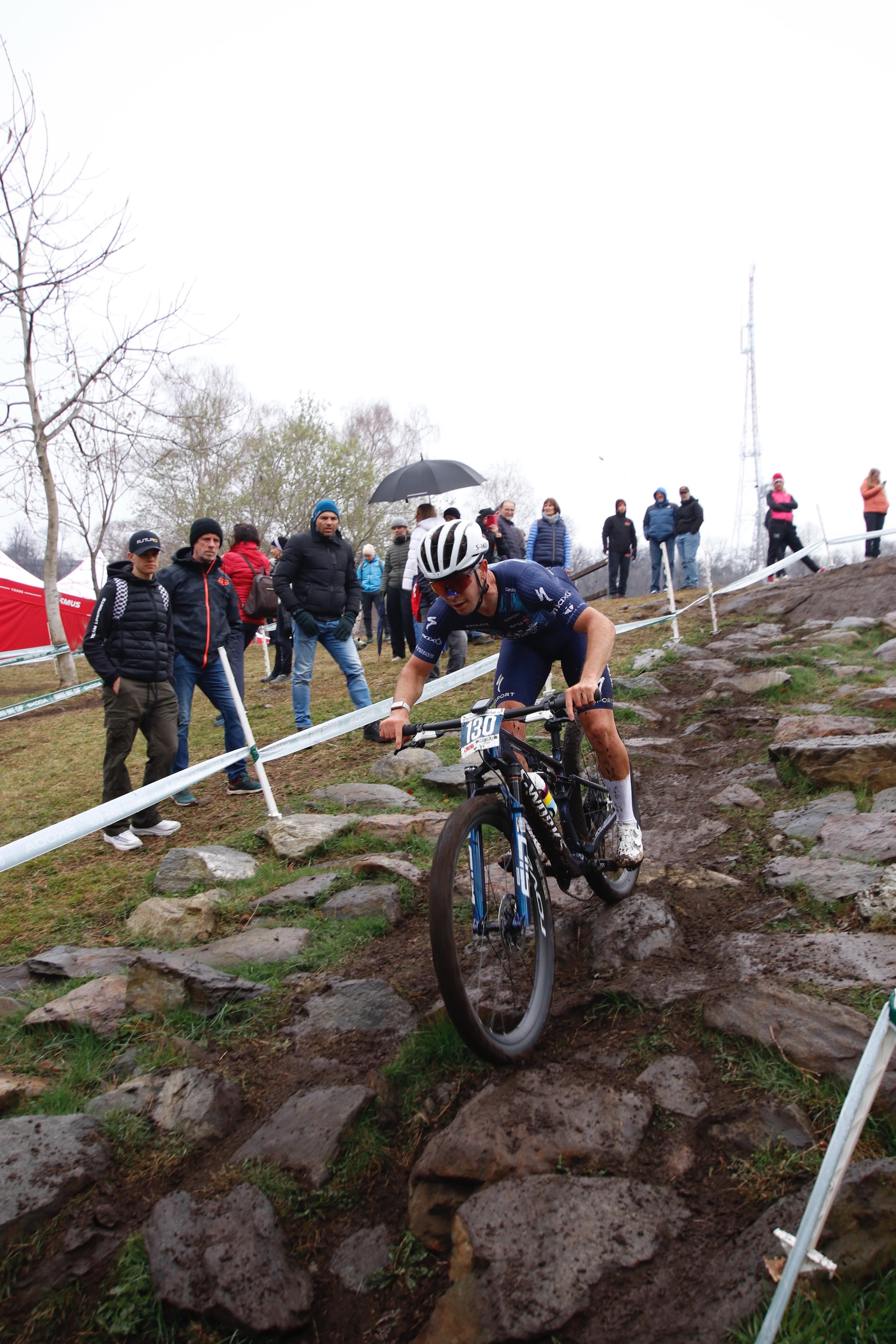 ronckgarden monte tamaro.jpeg