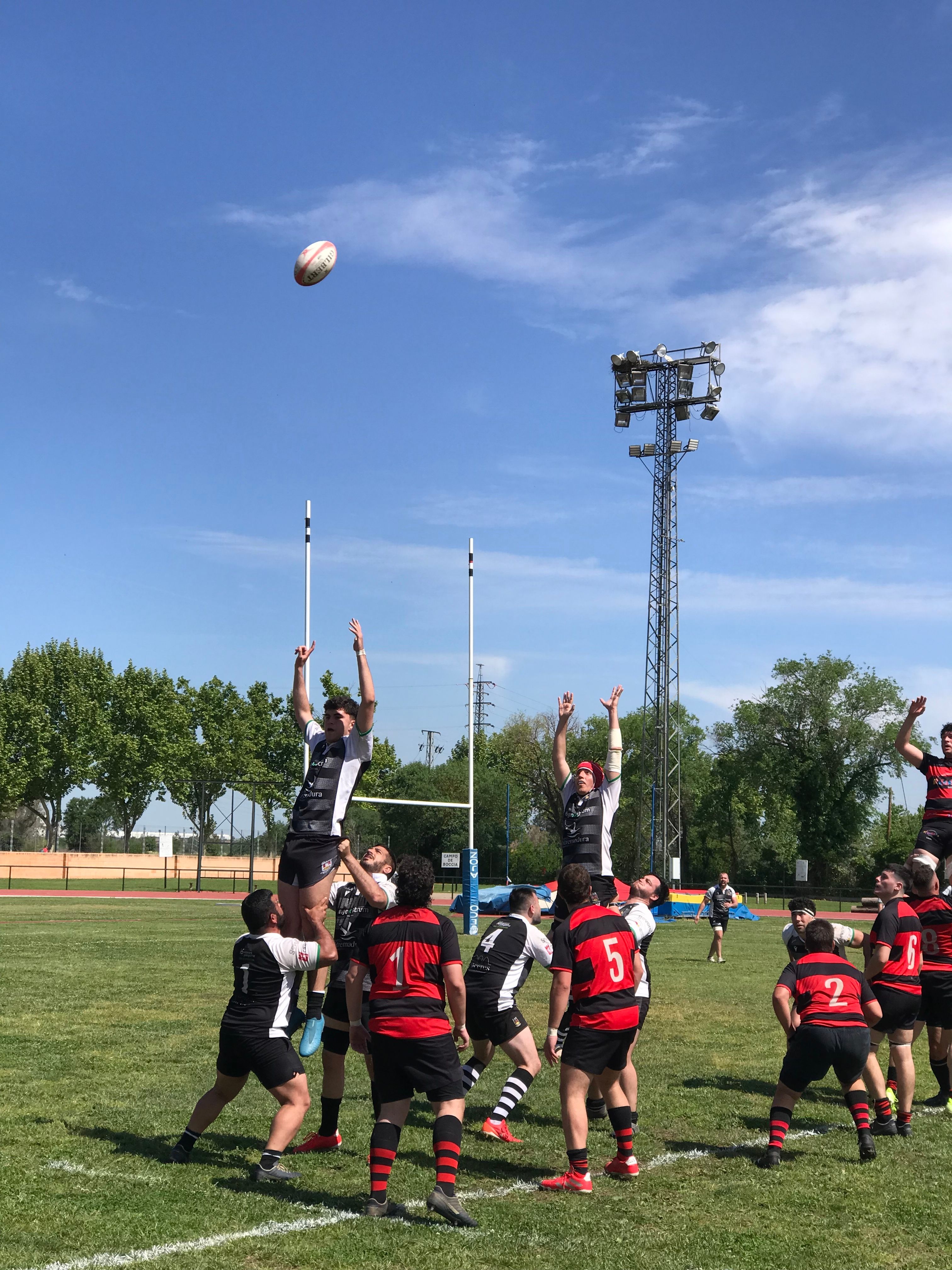 rugby.jpg