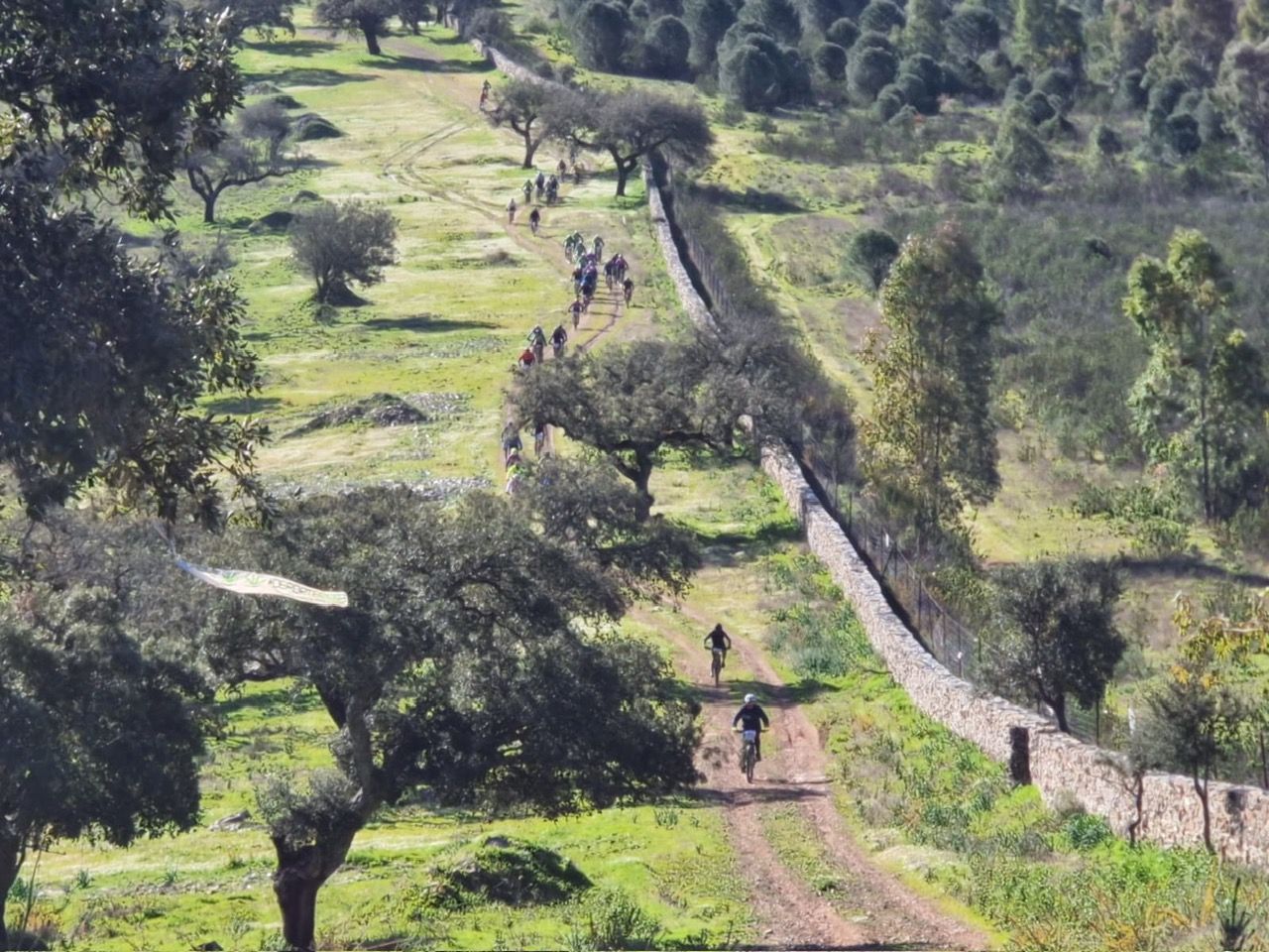 Ciclistas recorren la dehesa de Alburquerque en una ruta MTB